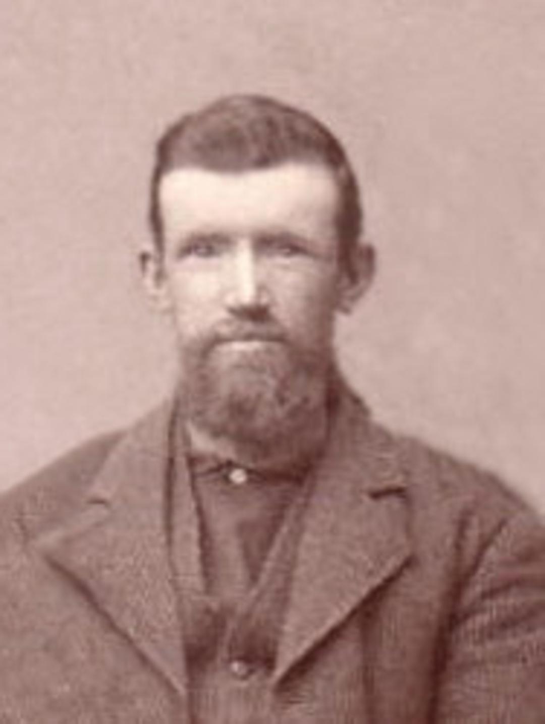 Samuel Willard Collings (1855 - 1917) Profile